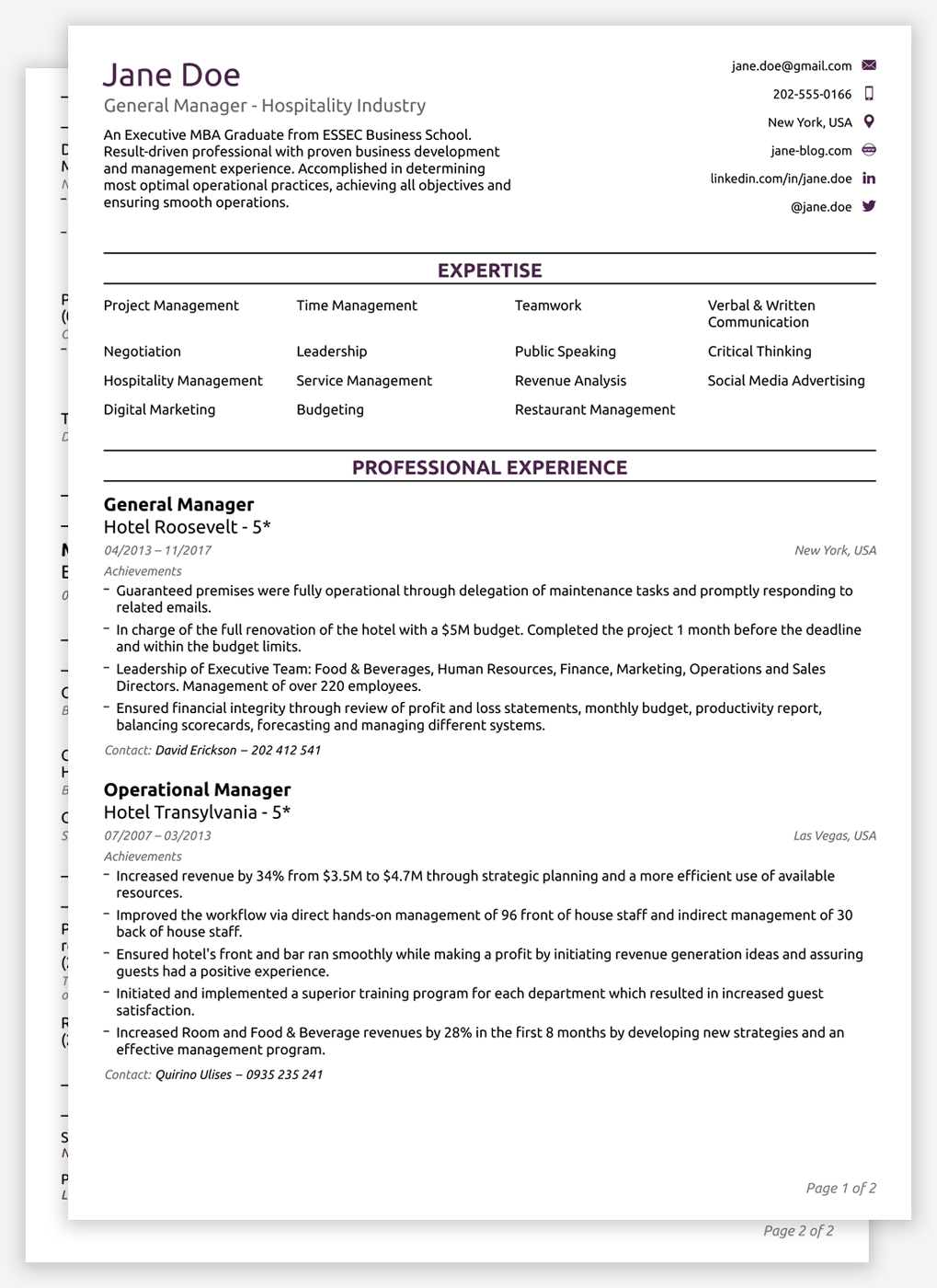 template of functional resume on cv template professional cvtemplate professional template resume template professional cv template functional resume template