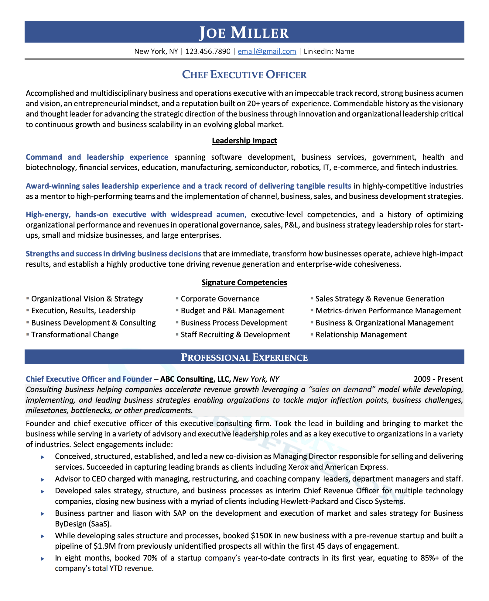 executive resume samples director vp c level executive resume job resume samples resume writing services top executive resume writers on executive resume samples director vp c level executive resume job resume samples resume writing services