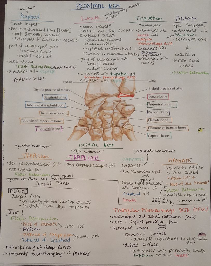20 study tips for pt school my road to pt physical therapy school physical therapy student physical therapy assistant school physical therapy assistant programs on 20 study tips for pt school my road to pt physical therapy school physical therapy student physical therapy assistant school