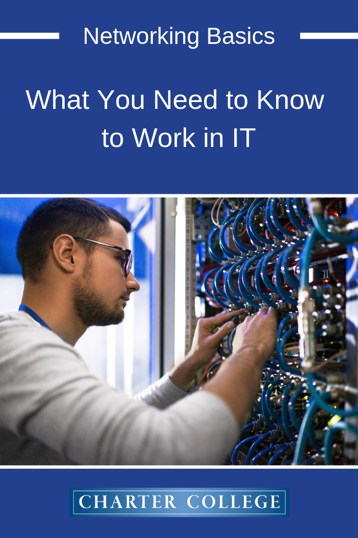 network and systems administrator on computer networking basics what you need to know to work in it computer networking basics networking basics information technology humor