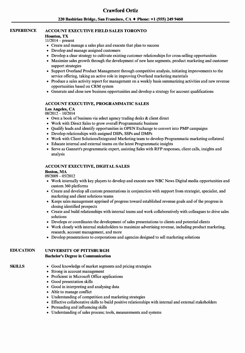 best of sales executive account executive resume samples resume examples engineering resume nursing resume sales account executive resume sample on best of sales executive account executive resume samples resume examples engineering resume nursing resume