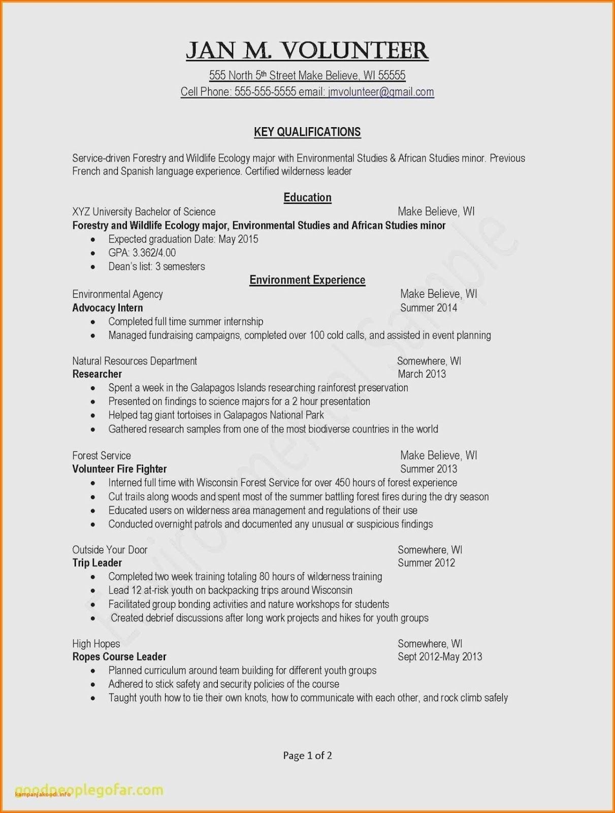 simple resume examples for students on simple resumes examples examples of basic resumes for jobs basic examples of resumes simple resume exampl teacher resume examples resume examples resume skills