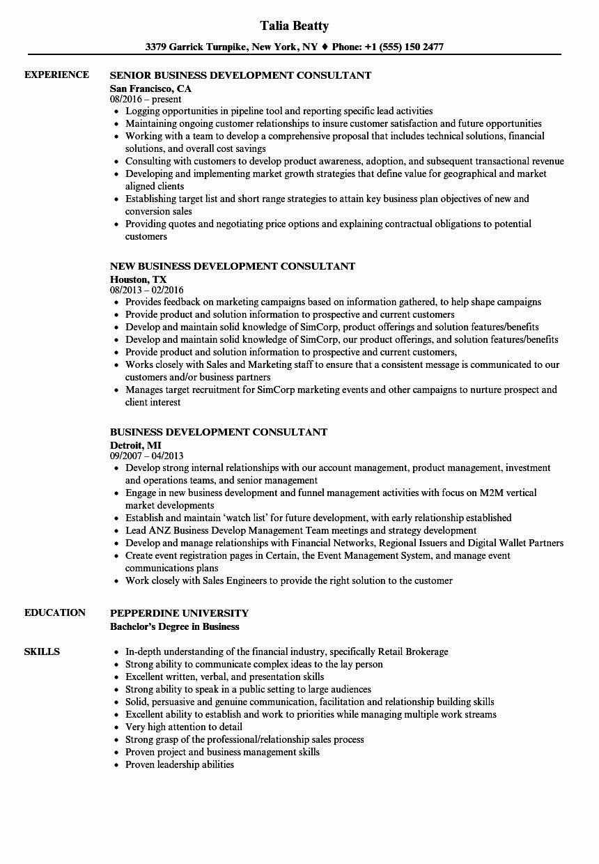 corporate travel consultant resume on business development representative resume inspirational business development consultant resume samples teknologi