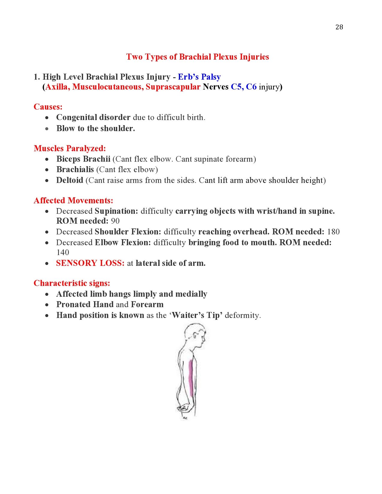 physical therapy schools on 32 best peripheral nerve injury ideas peripheral nerve injury hand therapy nbcot exam prep