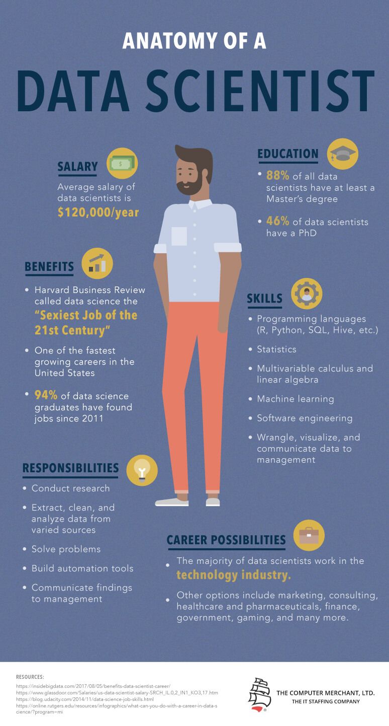business data analyst on anatomy of a data scientist infographic e learning infographics data science learning data science data scientist