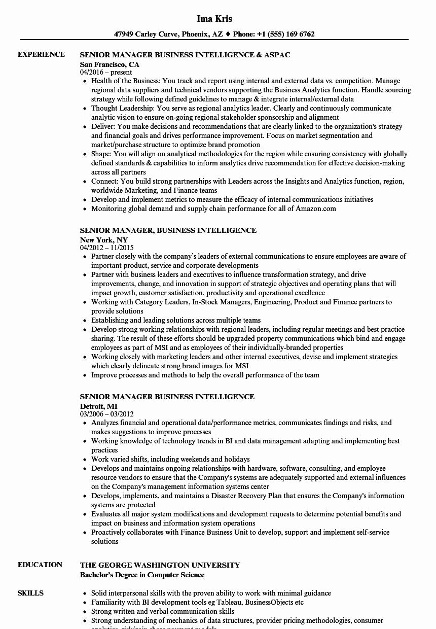 business intelligence analyst resume luxury senior manager business intelligence resume samples business analyst job description resume on business intelligence analyst resume luxury senior manager business intelligence resume samples
