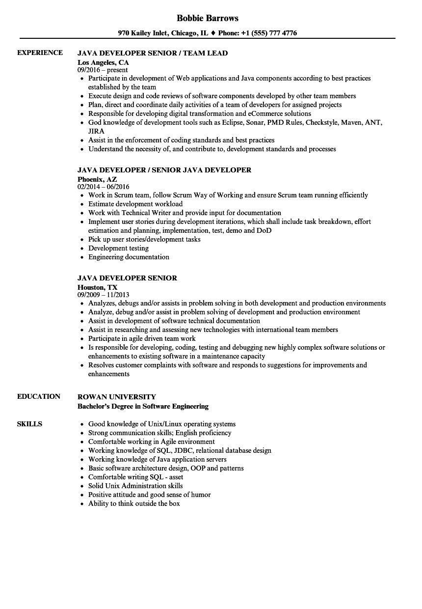 sample resume for software developer on 13 senior java developer resume sample png in 2021 resume examples job resume examples job resume samples