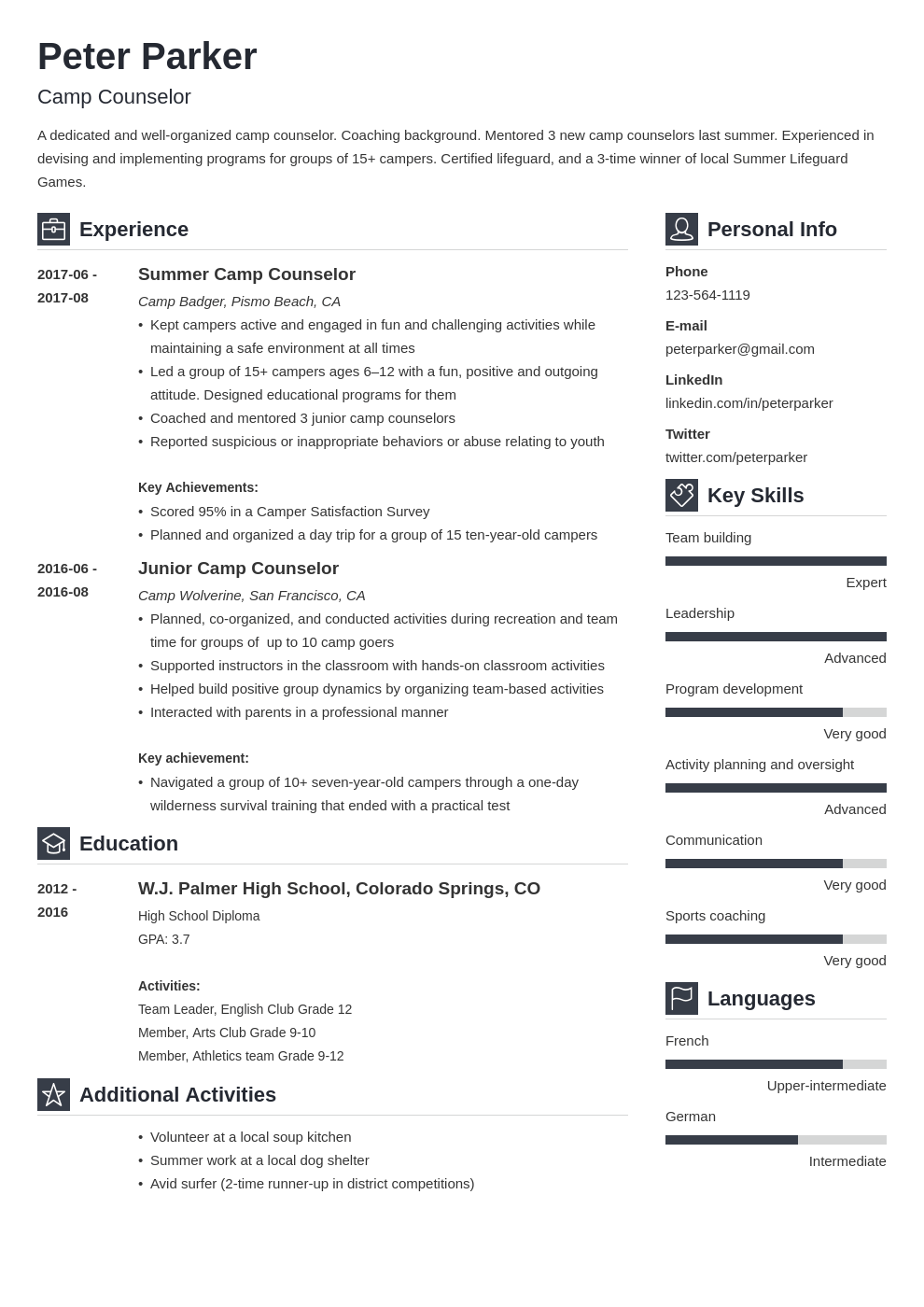 camp counselor duties on camp counselor resume example template vibes resume examples job resume examples resume summary