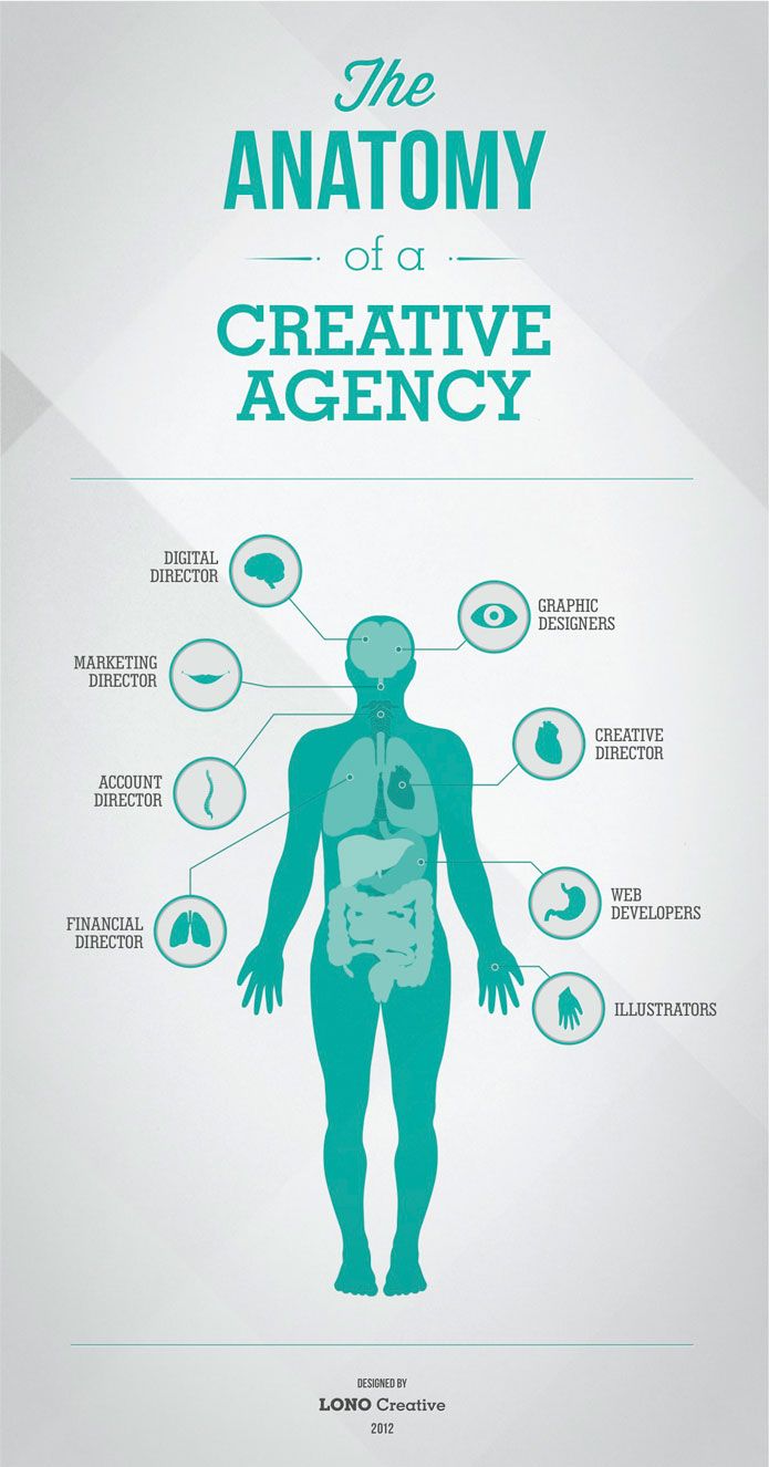 digital marketing director on the anatomy of a creative agency infographic brosur desain grafis desain