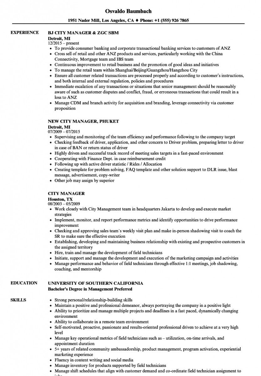 resume opening summary on objective for a city job in 2021 manager resume student resume template resume format