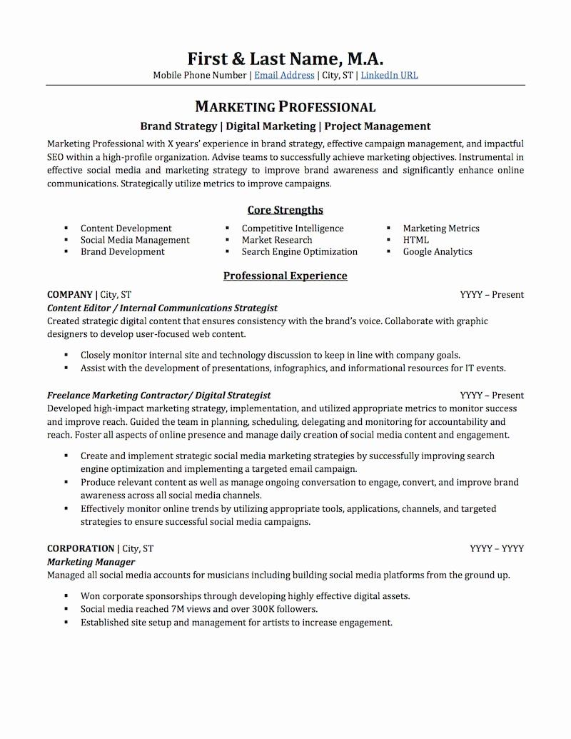 marketing director resume samples on digital marketing resume example beautiful advertising marketing resume sample professional res marketing resume professional resume examples resume examples