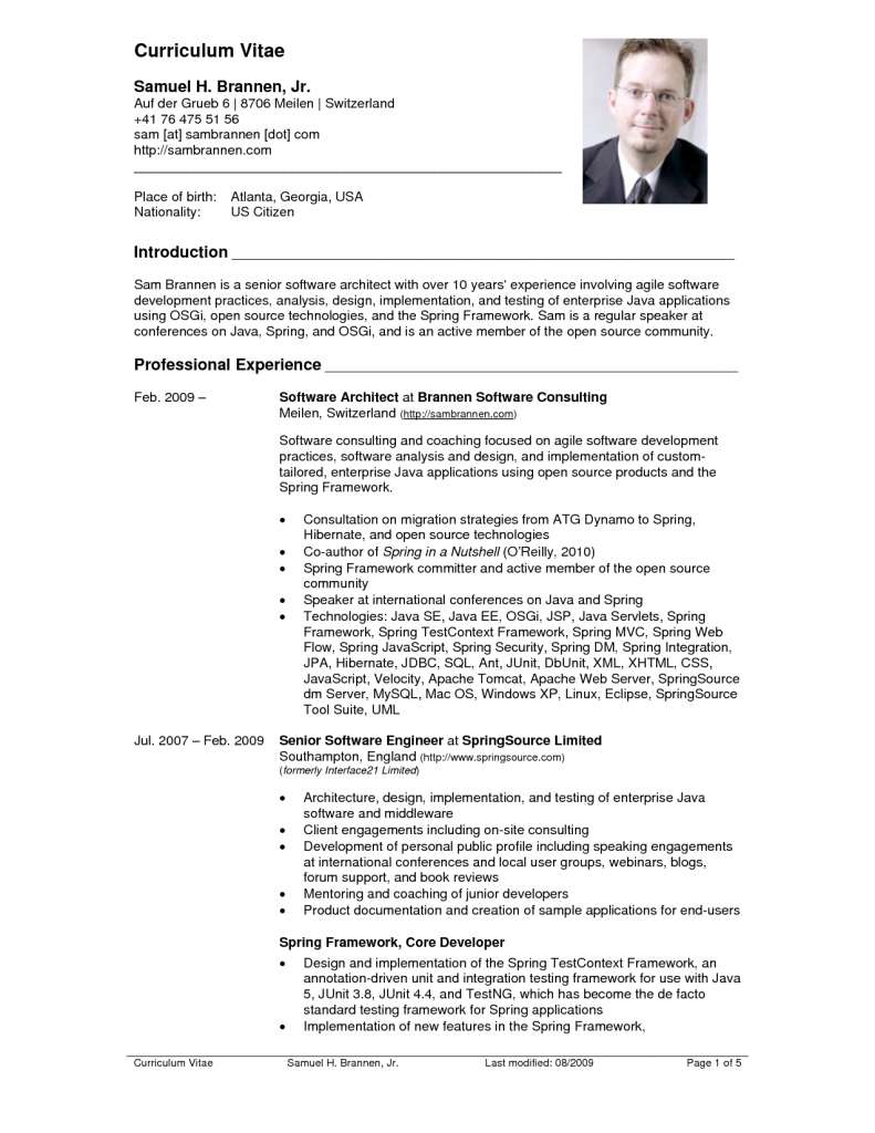 technical writer resume bullets on 30 cvs ideas resume examples good resume examples resume