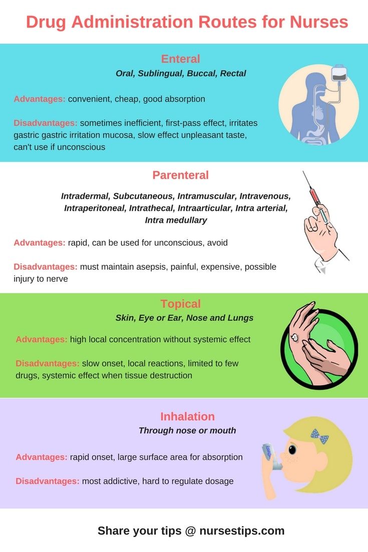 online nurse practitioner programs on pin by tessa vander meulen on medical surgical nursing nursing procedures online nursing schools best nursing schools