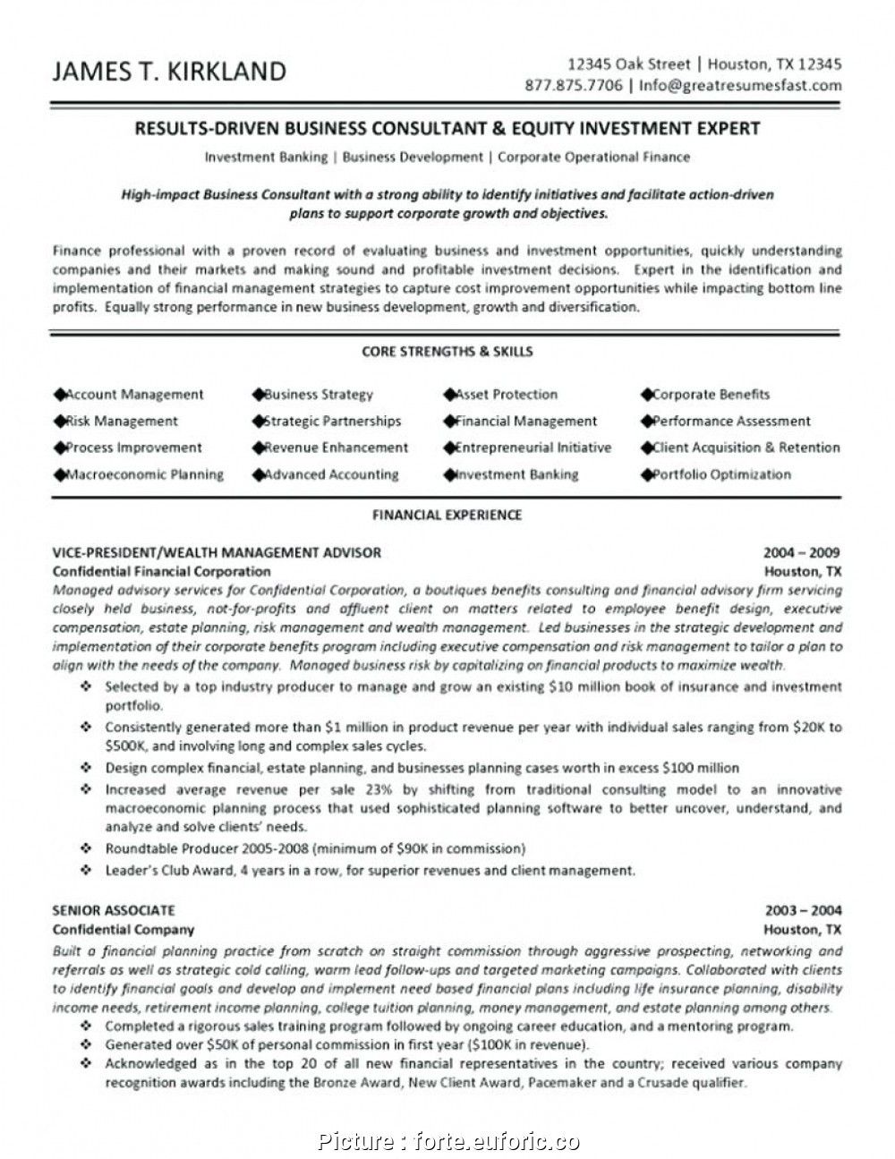 federal government resume on 90 days action plan template elegant business plan for sales manager professional paper writers resume examples business management federal resume
