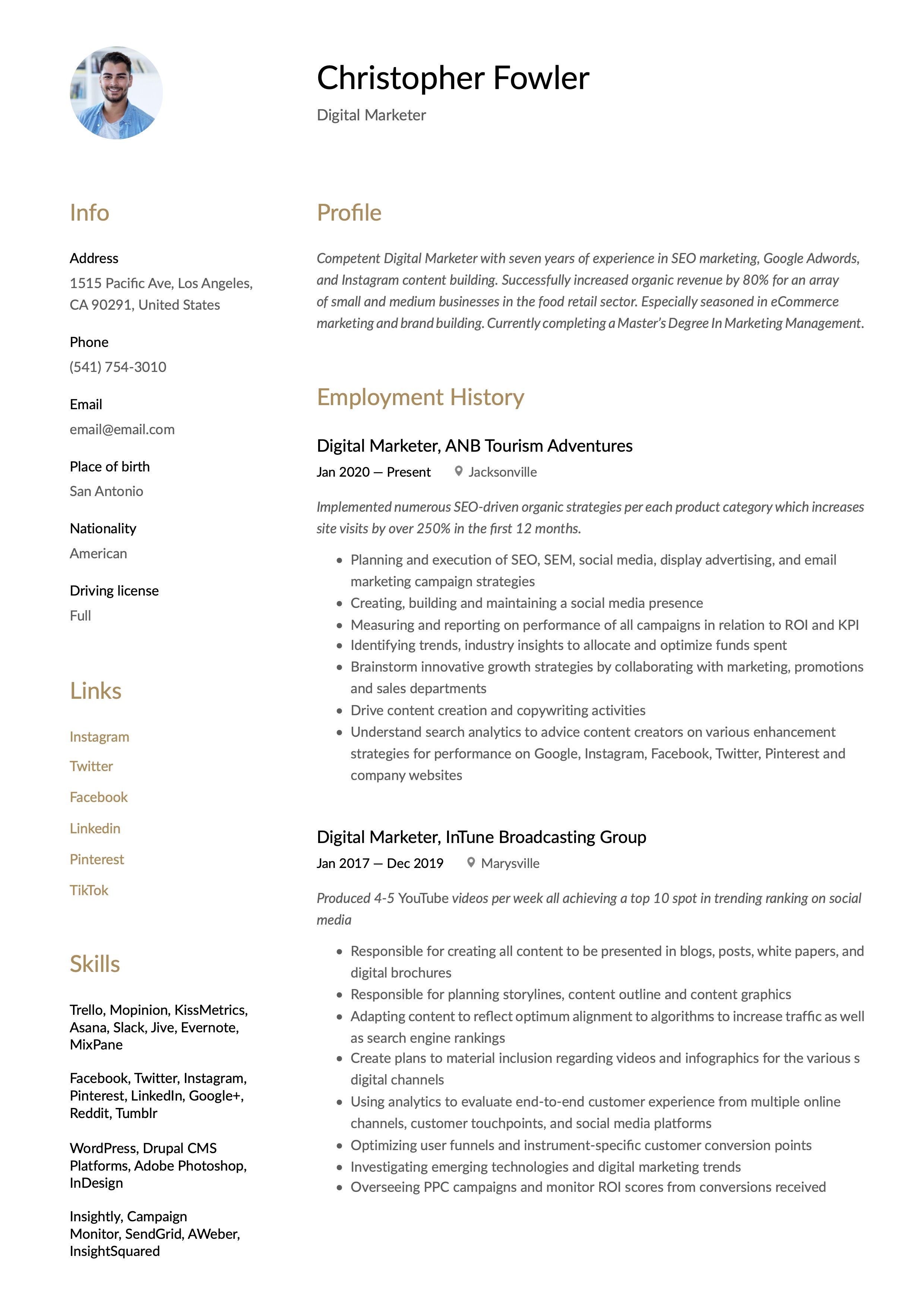 resume template for digital marketing on digital marketer resume template digital marketing resume examples ecommerce marketing