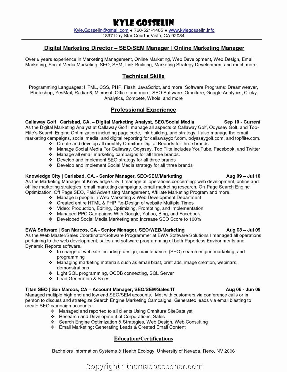 resume for social media marketing on social media manager resumes unique simple social media manager resume example socialdia digital marketing manager marketing resume resume examples