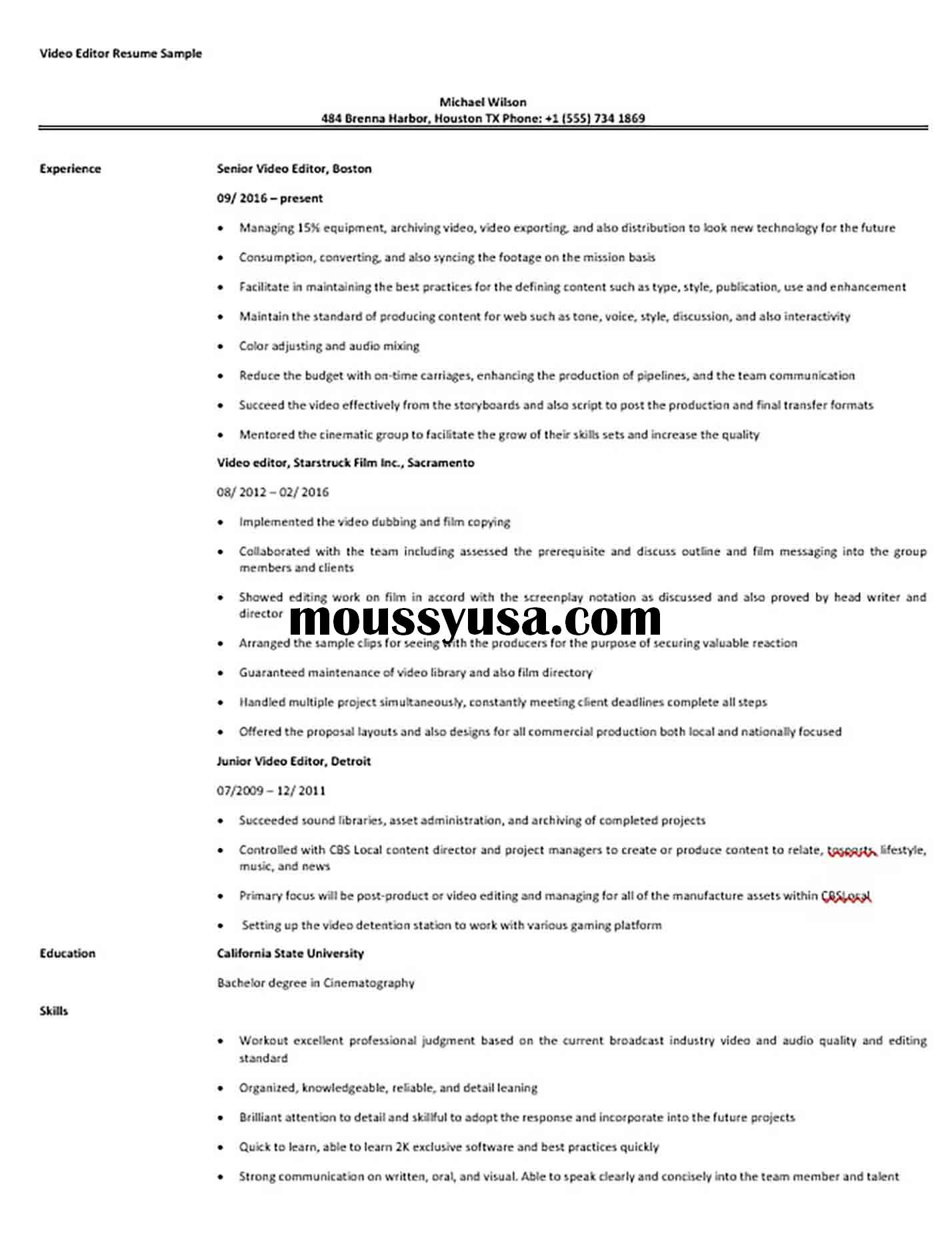 video editor resume sample video editor resume editor editor resume sample on video editor resume sample video editor resume editor
