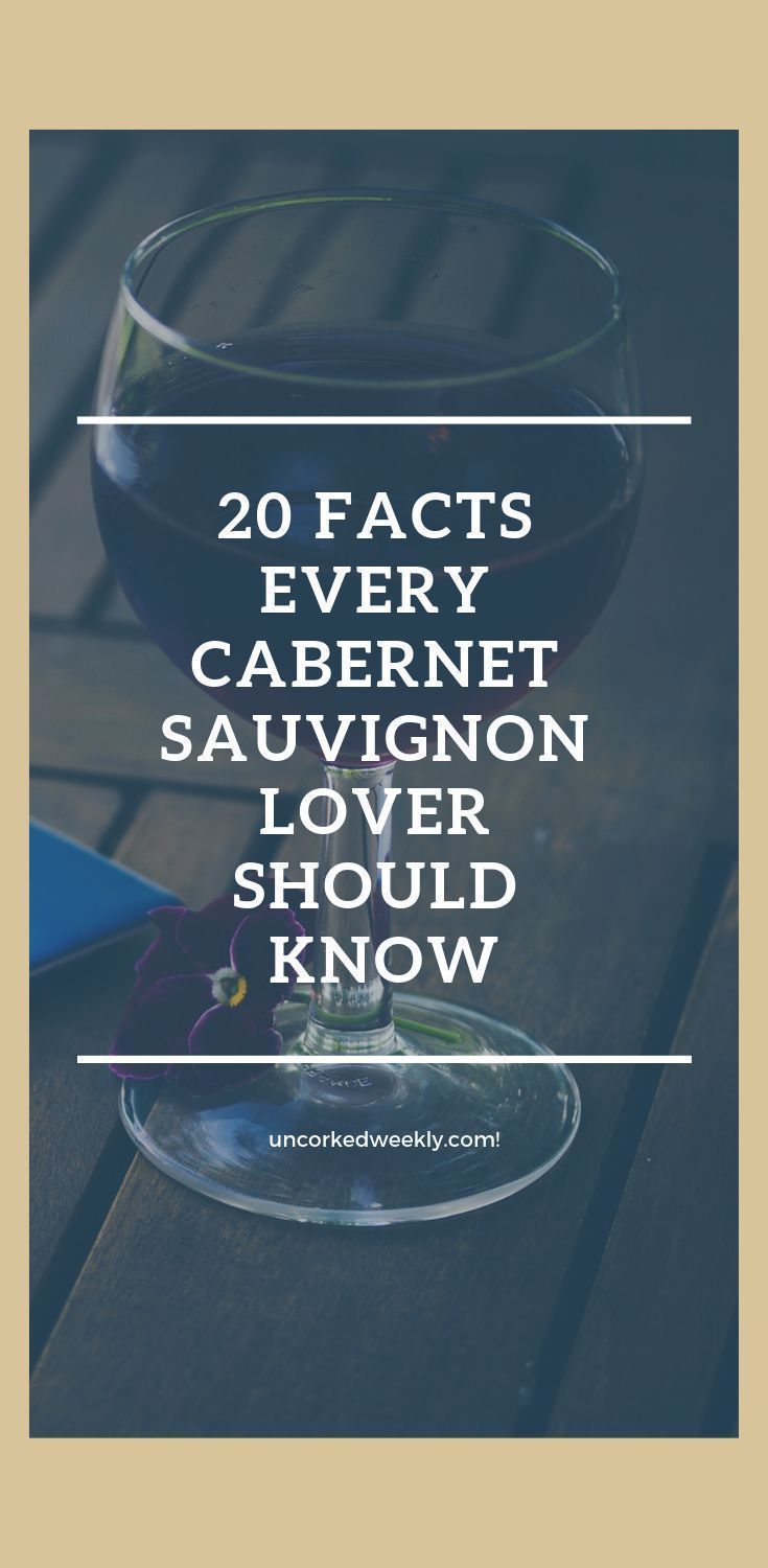 qualities of a bartender on 20 facts every cabernet sauvignon lover should knowcabernet sauvignon is one of the worlds most popular and beloved r cabernet sauvignon cabernet wine cabernet