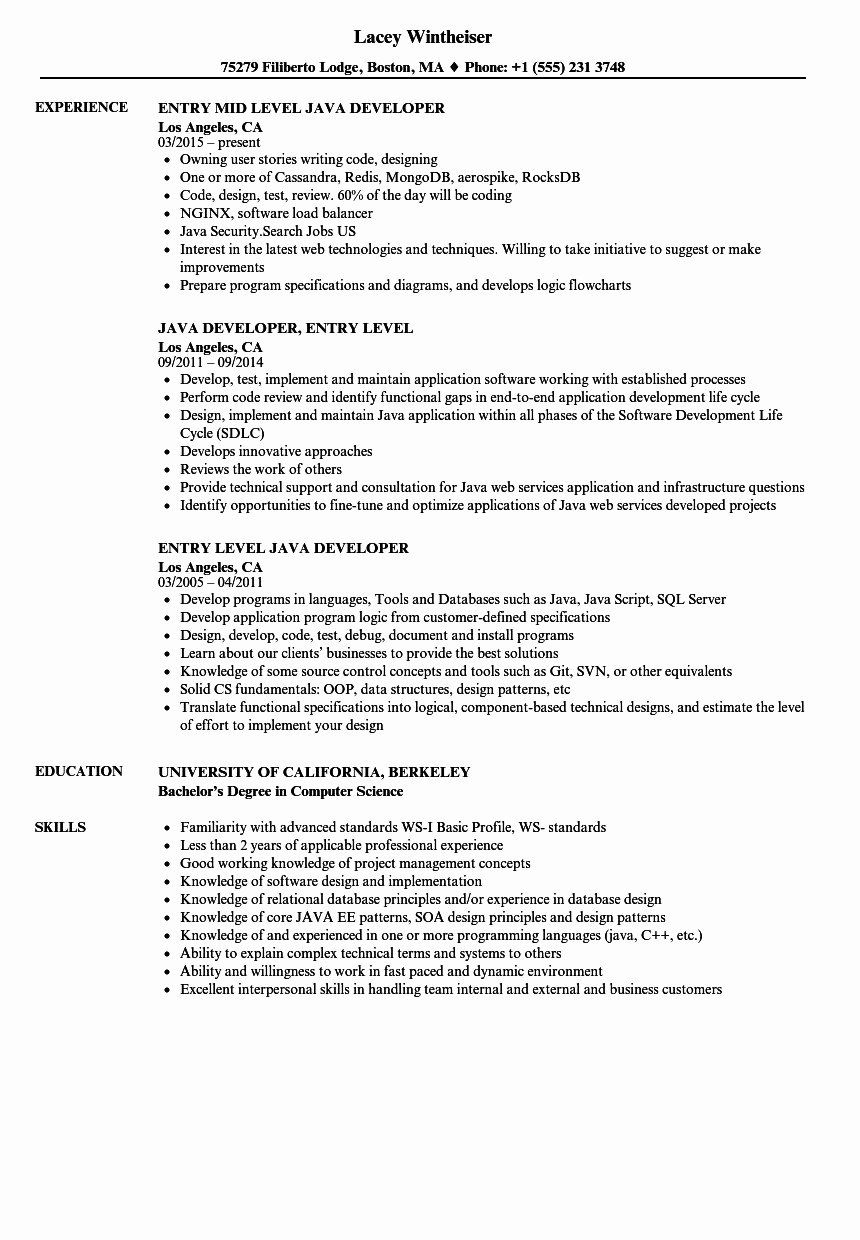 web developer resume with no experience on entry level web developer resume new awesome entry level java developer resume sample web developer resume entry level resume resume examples