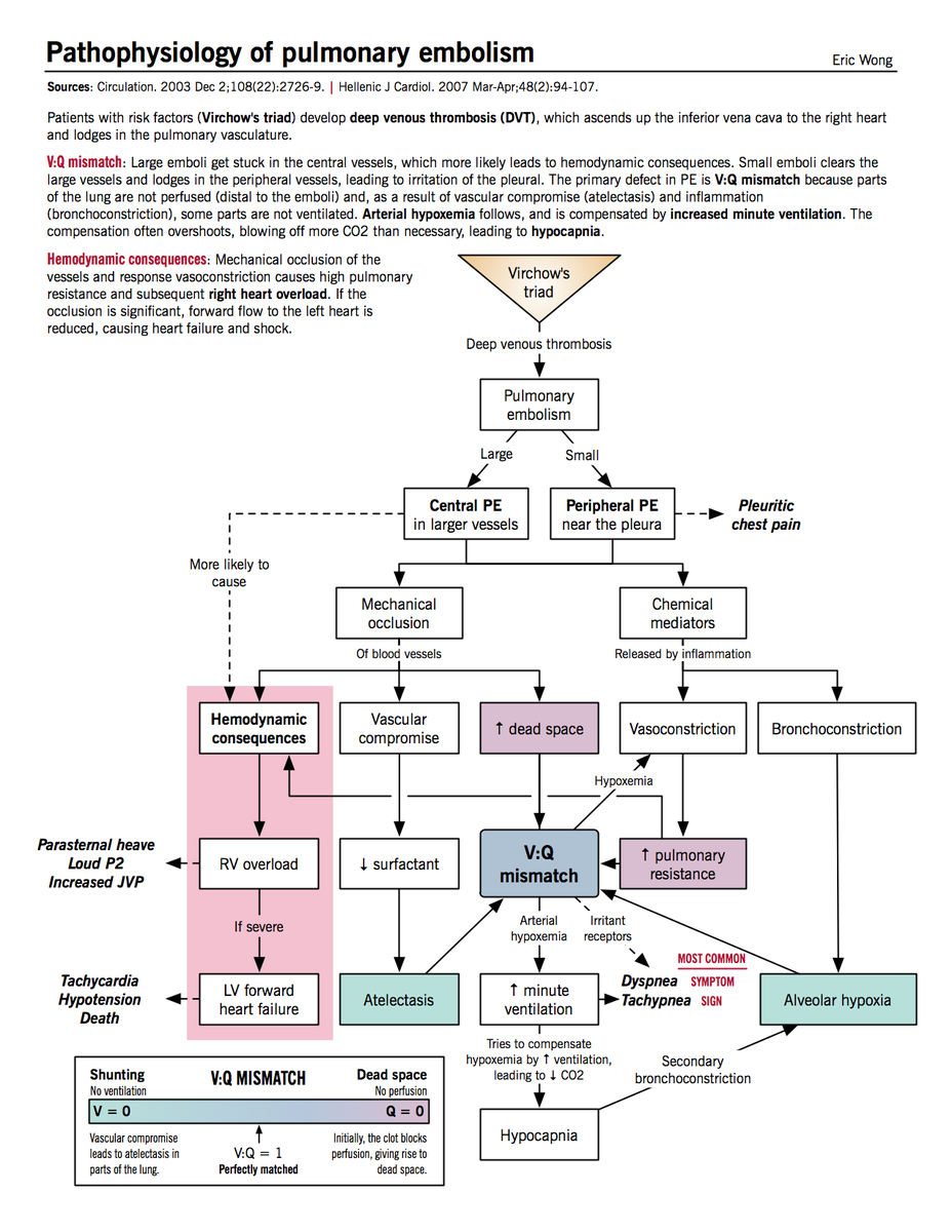manual of medicine on twitter pathophysiology nursing pulmonary embolism nursing pulmonary embolism respiratory therapist schools near me on manual of medicine on twitter pathophysiology nursing pulmonary embolism nursing pulmonary embolism