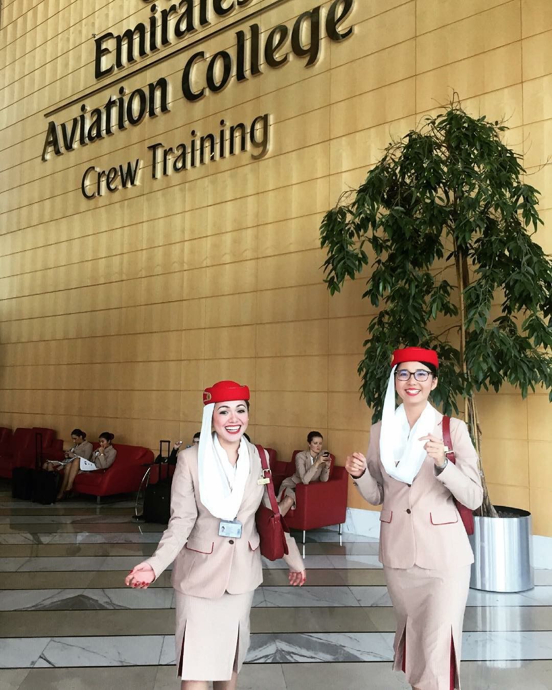 pin on flight attendant flight attendant college on pin on flight attendant