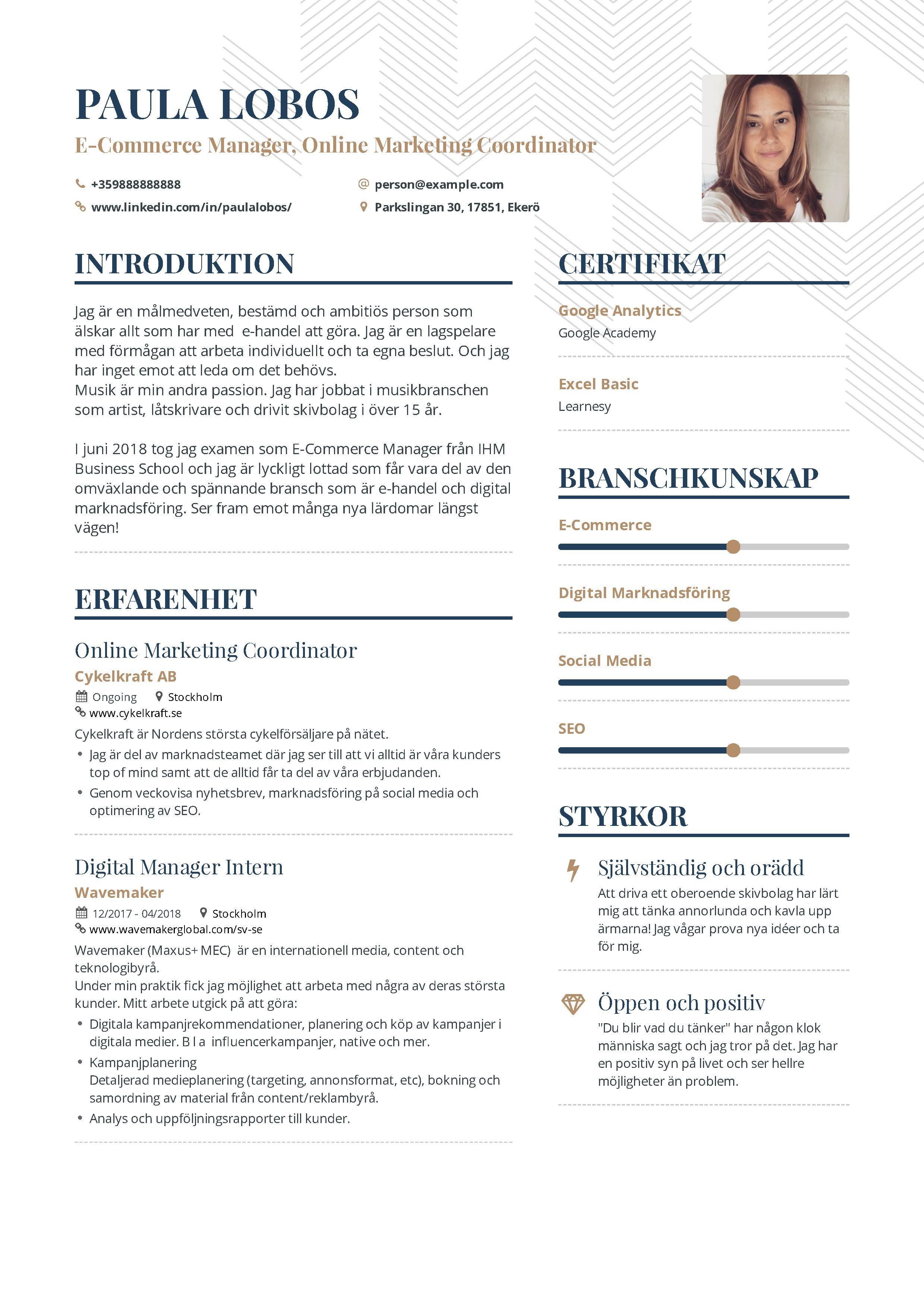 social media coordinator resume on ecommerce marketing resume example and guide for 2019 marketing resume resume examples resume