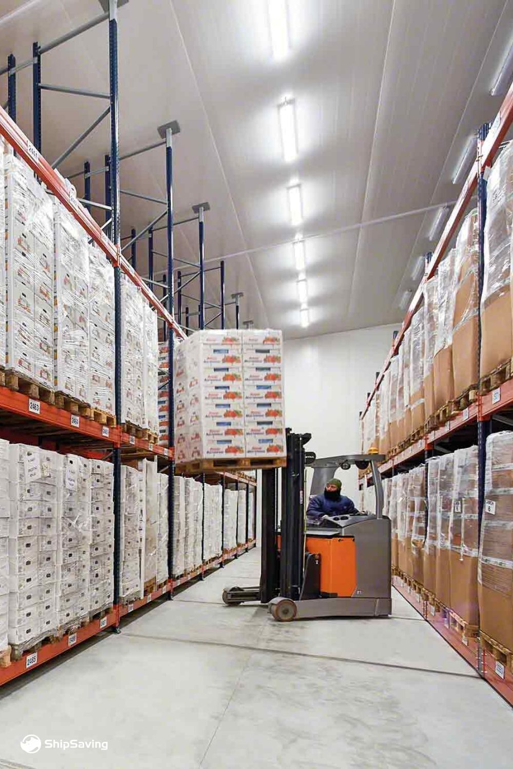 warehouse associate near me on efficient warehouse management warehouse design concrete design warehouse shelving