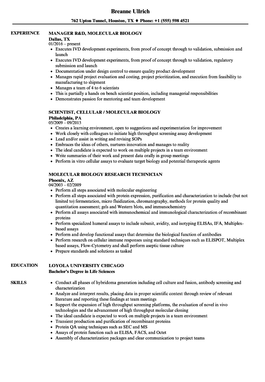resume examples biology manager resume resume examples engineering resume how to add associates degree to resume on resume examples biology manager resume resume examples engineering resume