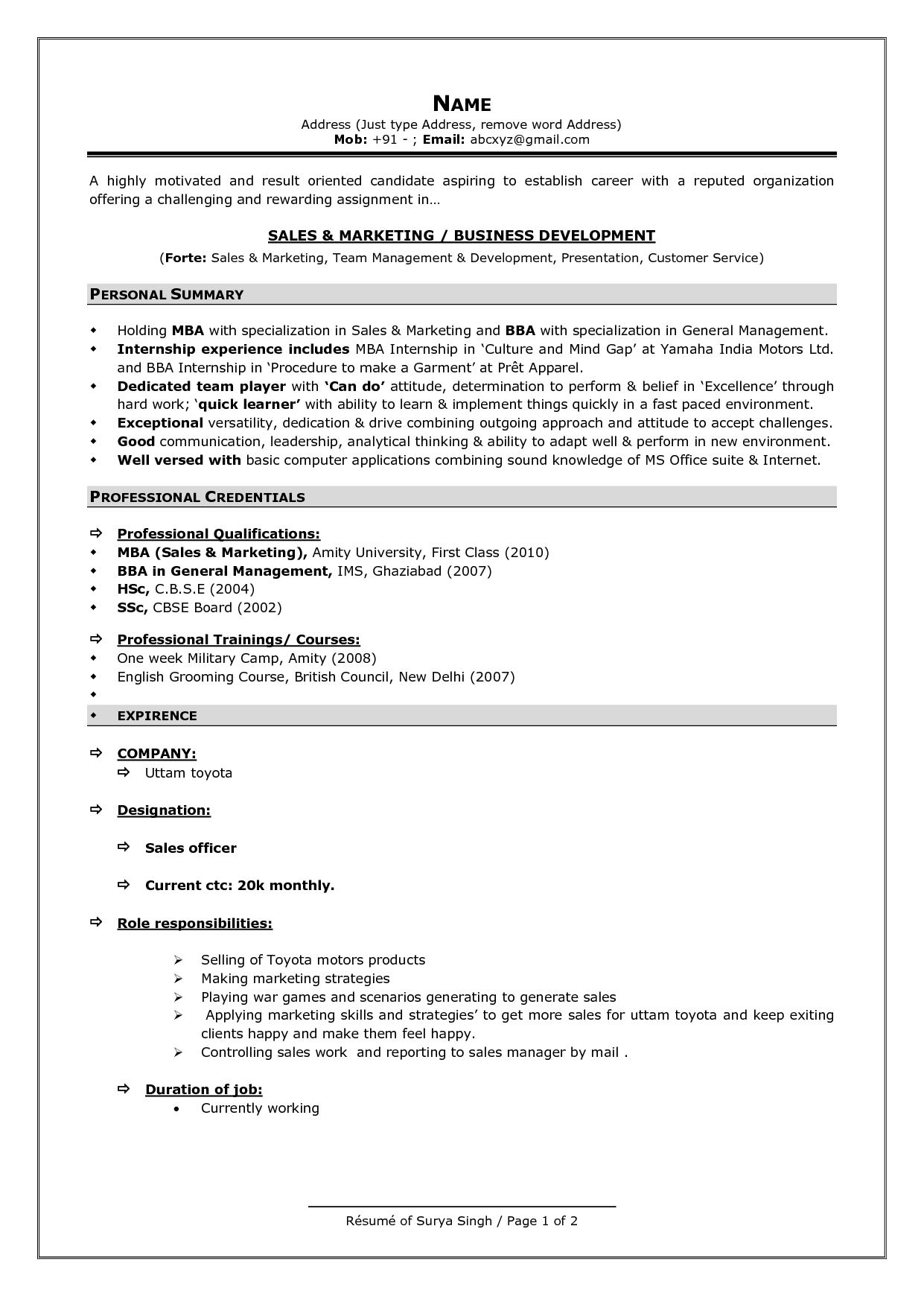 sales and marketing resume sample pdf on resume samples for experienced marketing professionals professional resume samples resume format for freshers best resume format