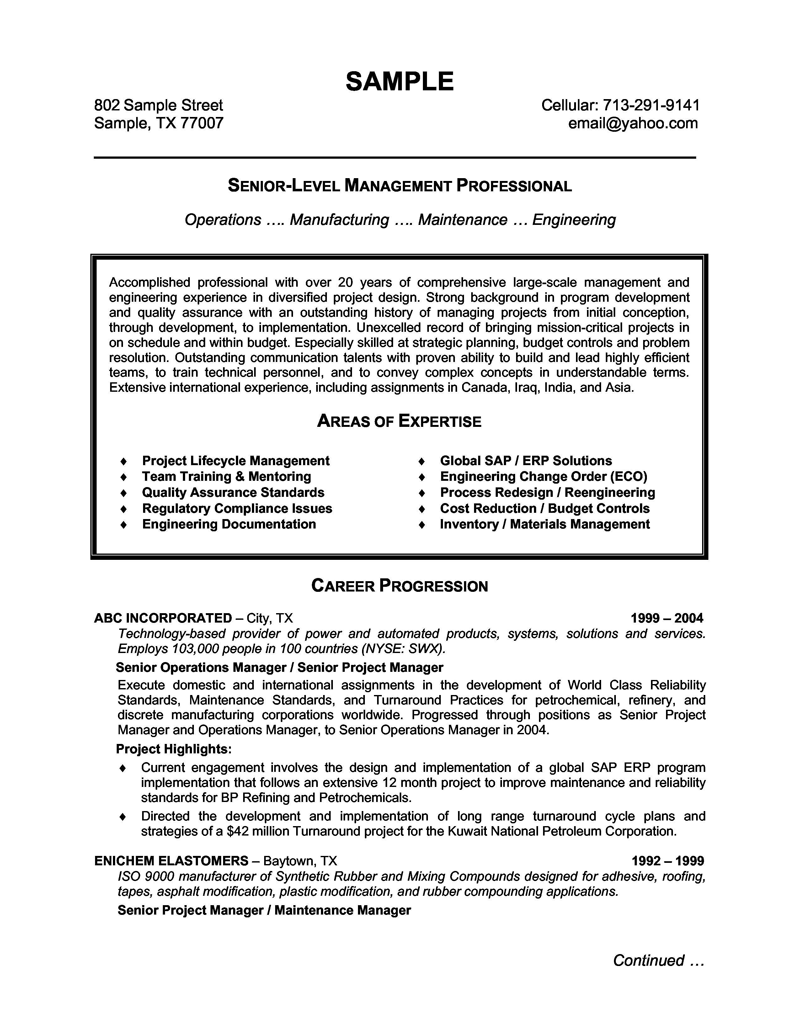 professional resume examples for managers on senior level management professional resume professional resume samples resume template examples professional resume examples