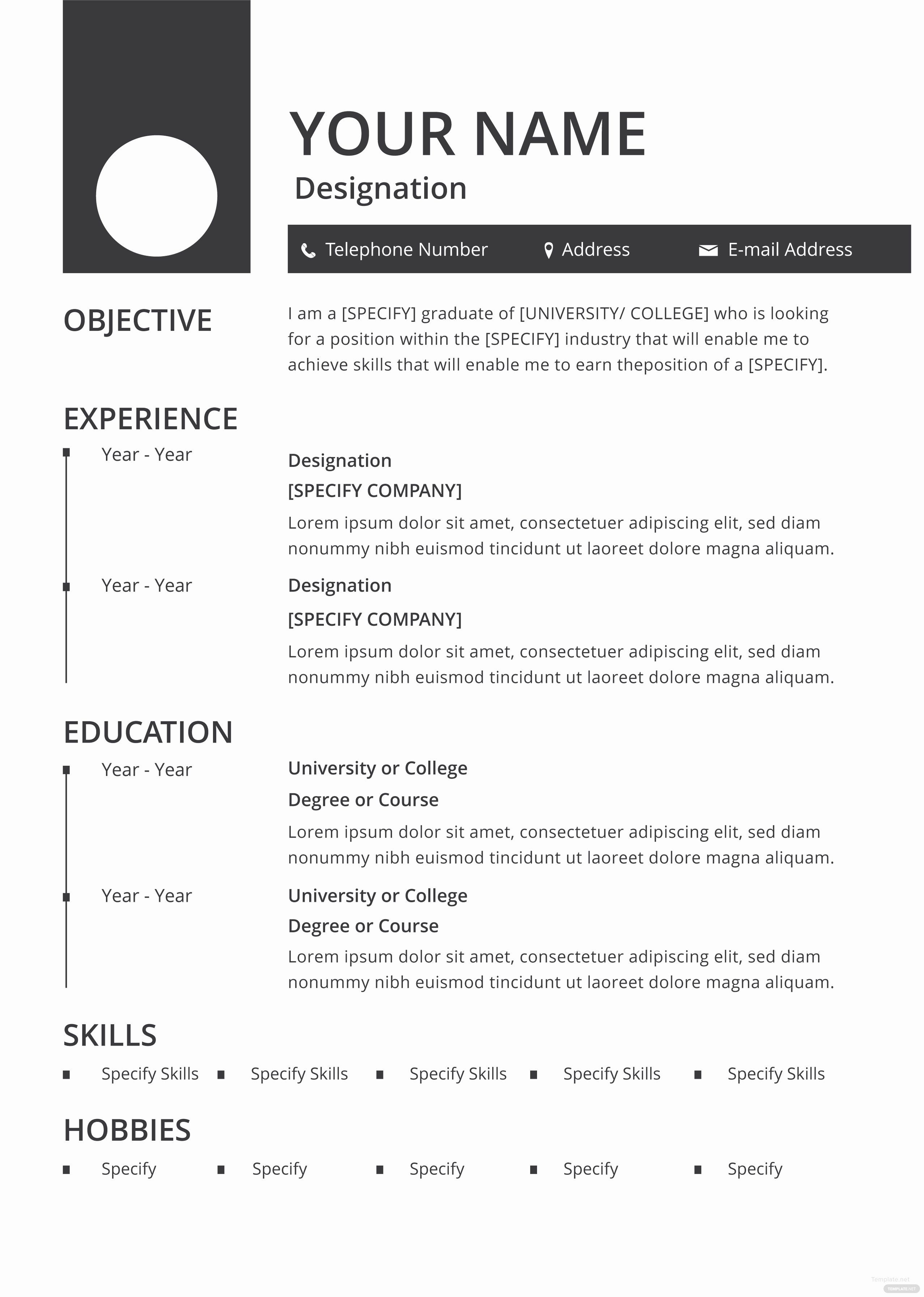 attractive resume templates free download best of free blank resume and cv template in adobe shop job resume format best resume format resume pdf easy fill in resume on attractive resume templates free download best of free blank resume and cv template in adobe shop job resume format best resume format resume pdf