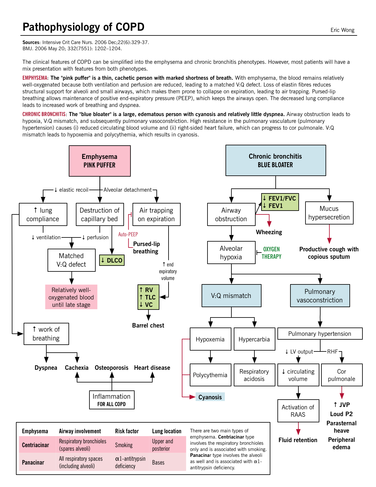 pathophysiology of copd copd nursing pathophysiology nursing nurse respiratory therapist schools near me on pathophysiology of copd copd nursing pathophysiology nursing nurse