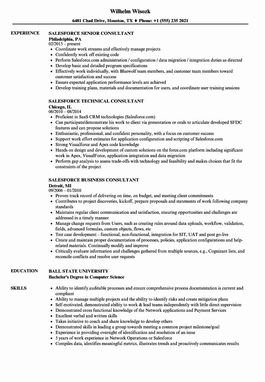 best recruiter resumes on awesome salesforce developer resume resume ideas recruiter resume sales resume examples nurse job description