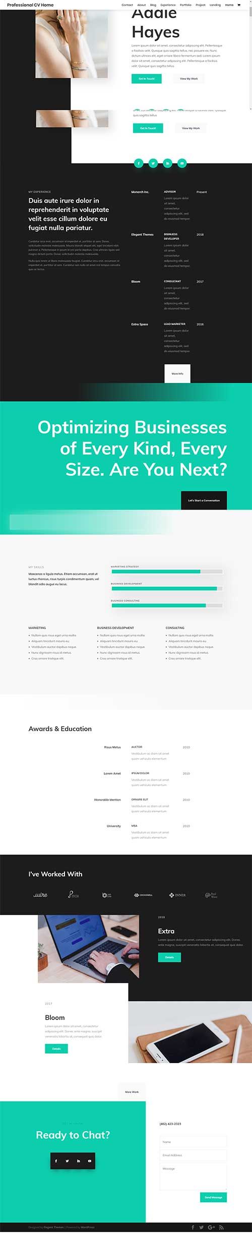 divi cv resume free divi template divi theme examples divi theme personal resume resume layout personal resume website examples on divi cv resume free divi template divi theme examples divi theme personal resume resume layout