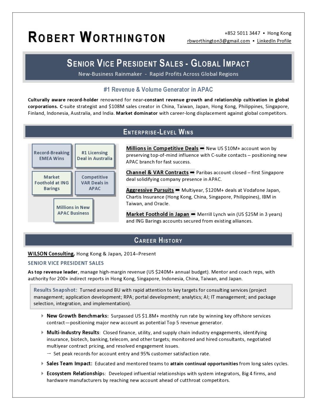 sample vp sales resume sales resume resume writing services executive resume top executive resume writers on sample vp sales resume sales resume resume writing services executive resume