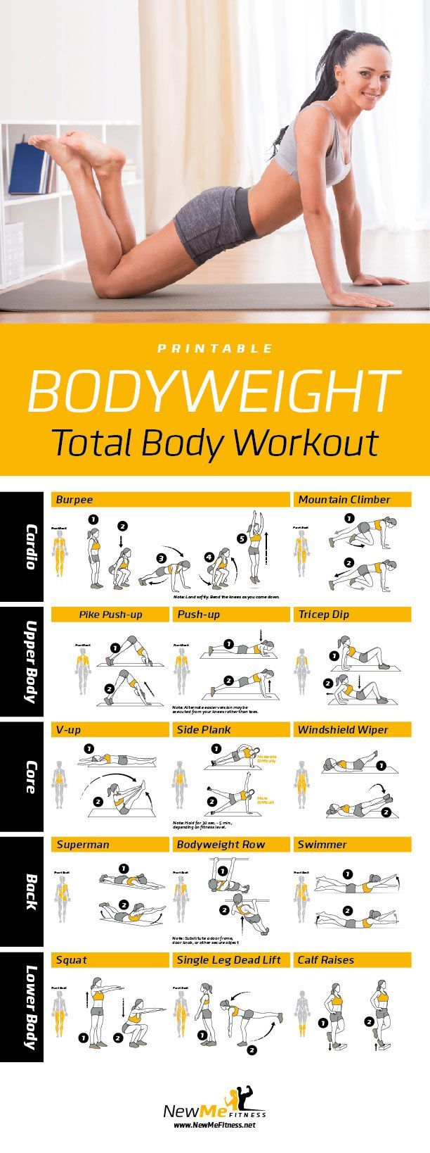 level 3 personal trainer on amazon com bodyweight exercise poster total body workout personal trainer fitness program for women hom workout posters total body workout fitness body