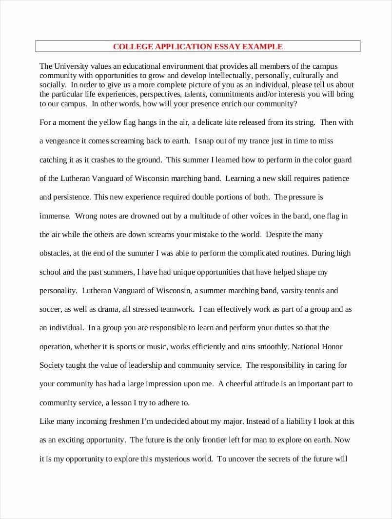college application essay samples free on college application essay format template luxury free 9 college essay examples in pdf college application essay college admission essay essay format