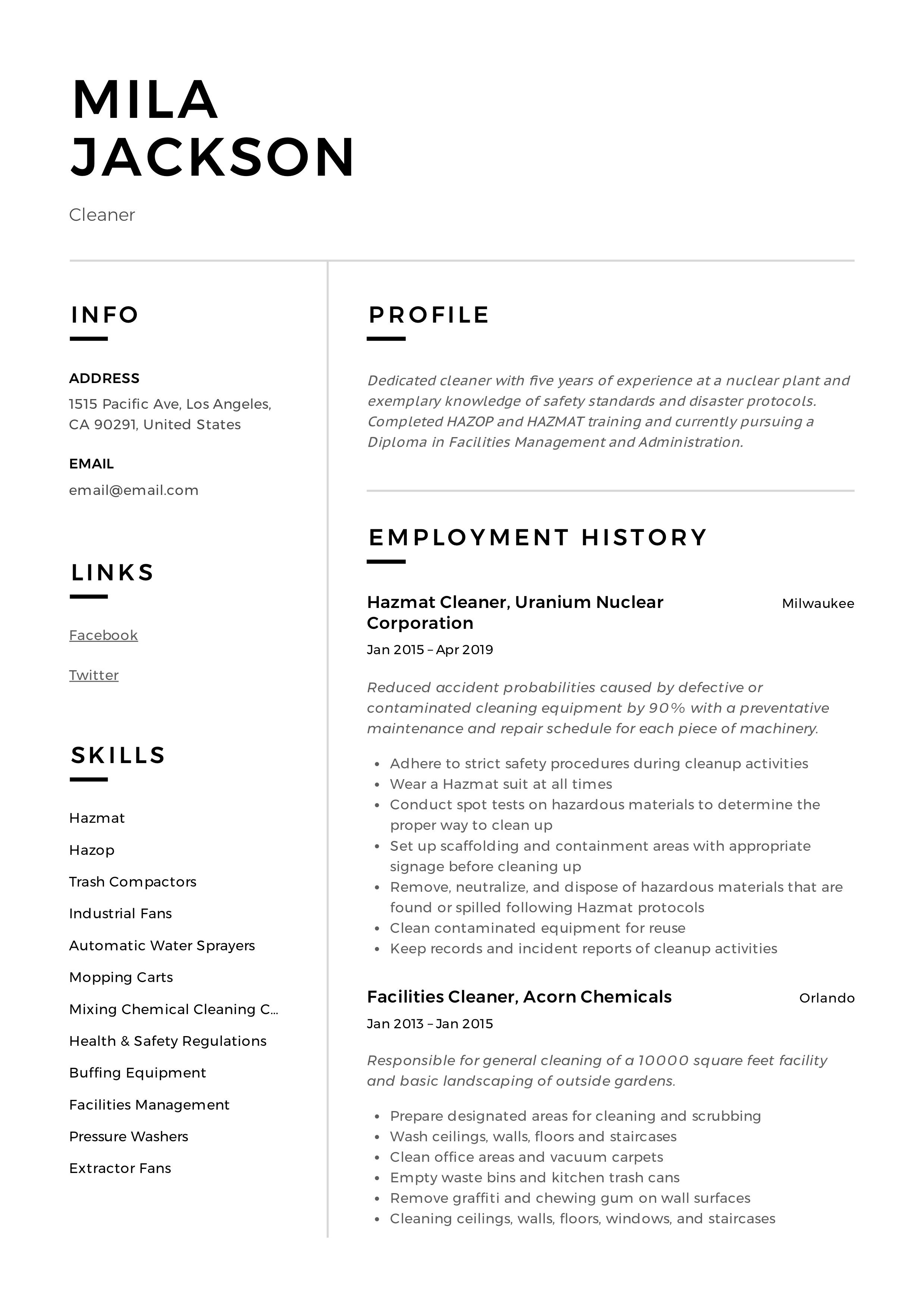 personal resume templates on cleaner resume sample professional resume examples resume examples job resume template