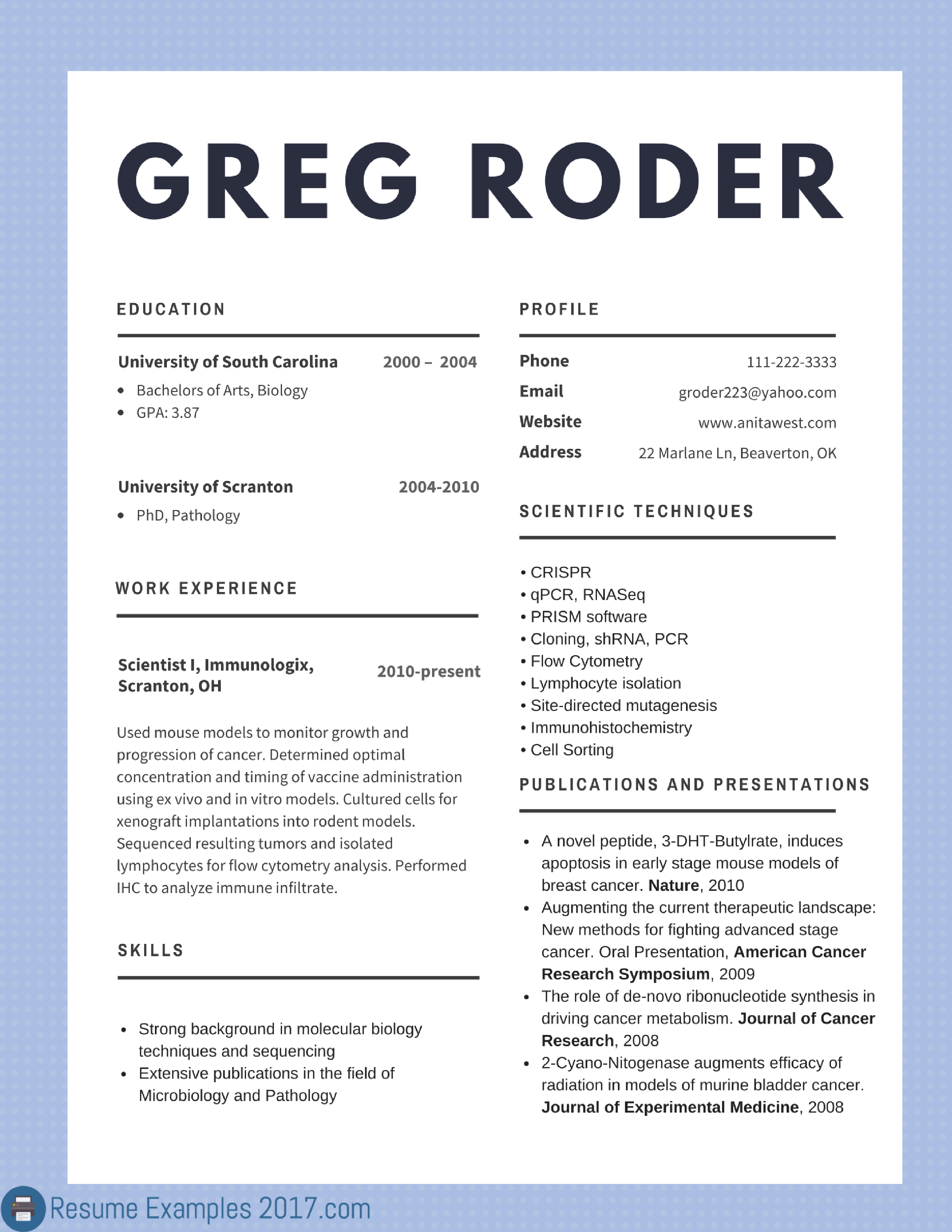 resume examples 2017 for jobs resume templates resume examples good resume examples cv examples resume writing group reviews on resume examples 2017 for jobs resume templates resume examples good resume examples cv examples