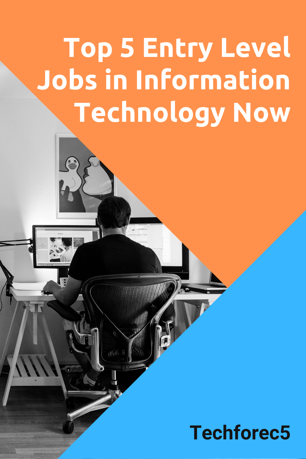 entry level it careers on top 5 entry level jobs in information technology now entry level jobs technology job job