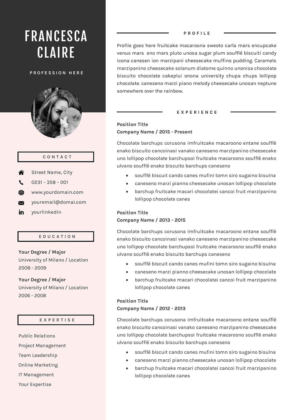 3 pages resume template sale resume template resume template professional cv resume template resume section headings on 3 pages resume template sale resume template resume template professional cv resume template