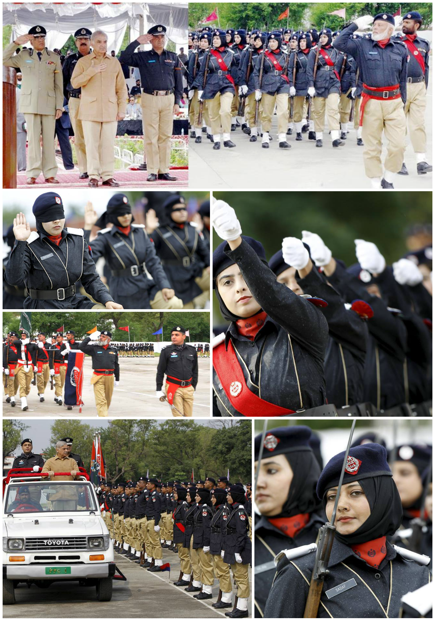 colleges for law enforcement on government of the punjab police punjab parades
