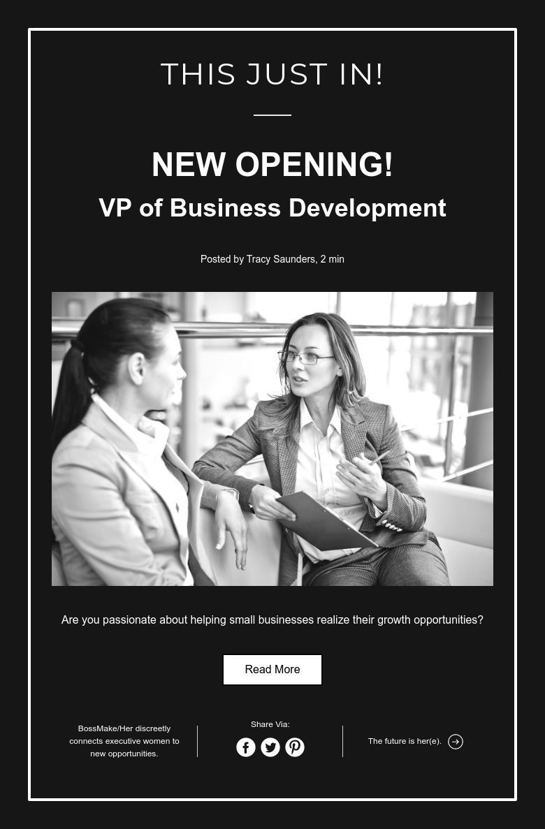 new job listing from bossmakeher vp of sales executive jobs business development executive woman business development executive on new job listing from bossmakeher vp of sales executive jobs business development executive woman