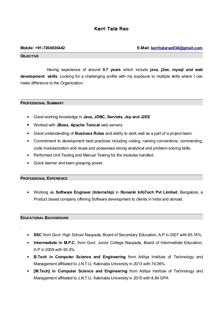 how to write professional summary on resume format for 6 months experience in java resume templates sample resume format internship resume resume format