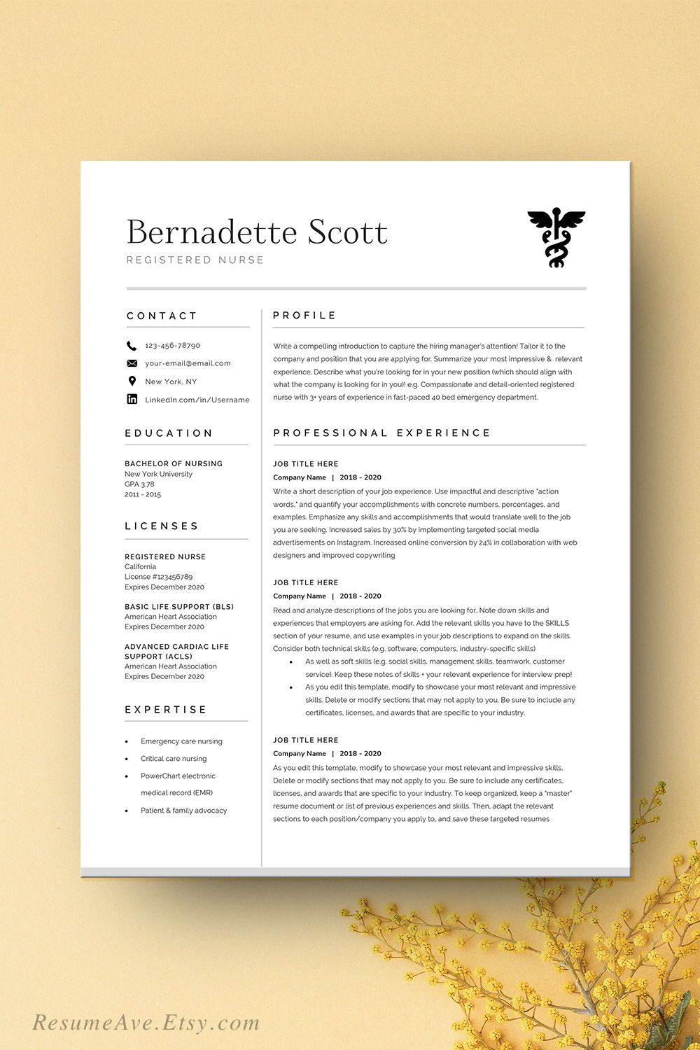 nurse resume template word design resume template word resume tips nursing resume template nursing resume template on nurse resume template word design resume template word resume tips nursing resume template