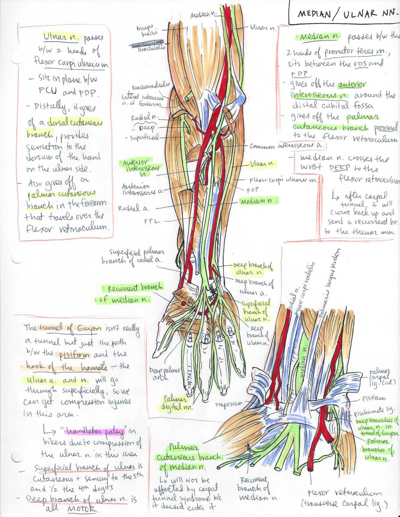 oxford medical school on pin by mary valadez on study medicine student medical anatomy medical school motivation