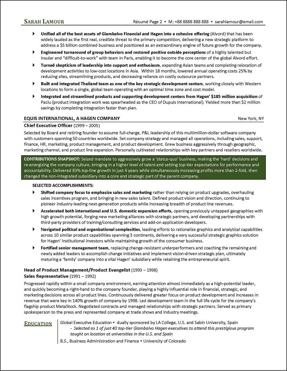 director level resume examples on c suite resume templates 2 templates example templates example resume template examples professional resume examples resume examples