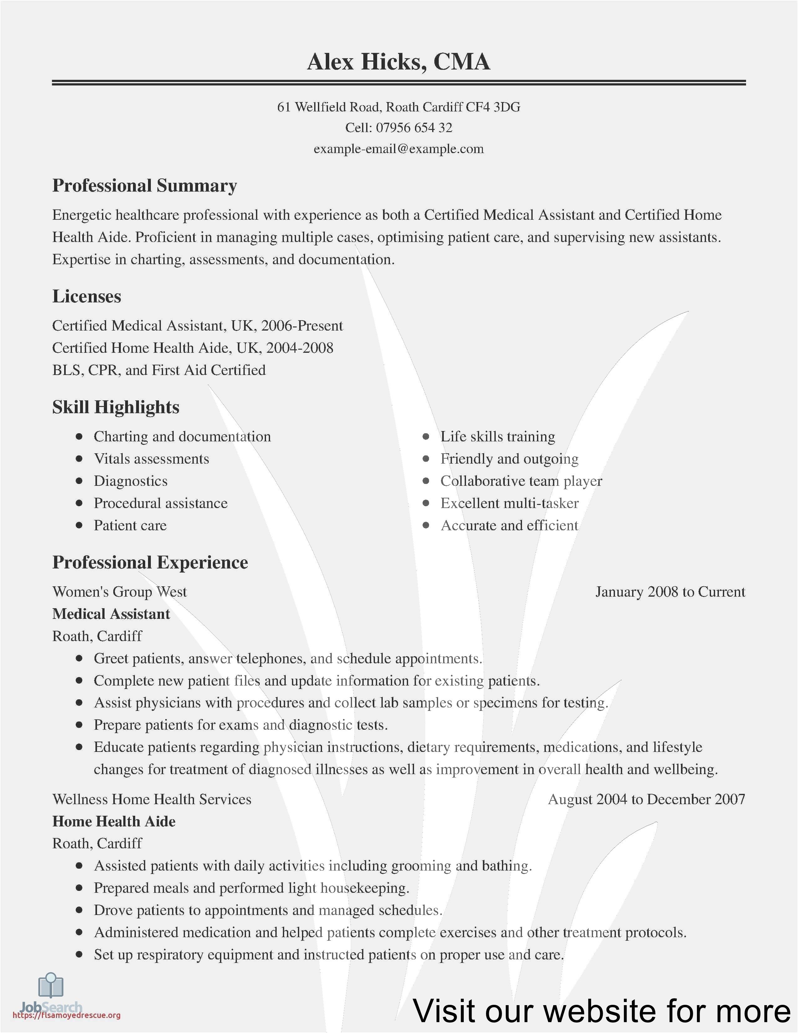 resume example and format professional resume template resume design template free free printable resume professional summary in resume on resume example and format professional resume template resume design template free free printable resume