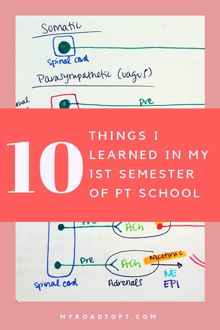 i learned so much during my 1st semester of physical therapy school you physical therapy school physical therapy assistant student doctor of physical therapy physical therapy assistant programs on i learned so much during my 1st semester of physical therapy school you physical therapy school physical therapy assistant student doctor of physical therapy