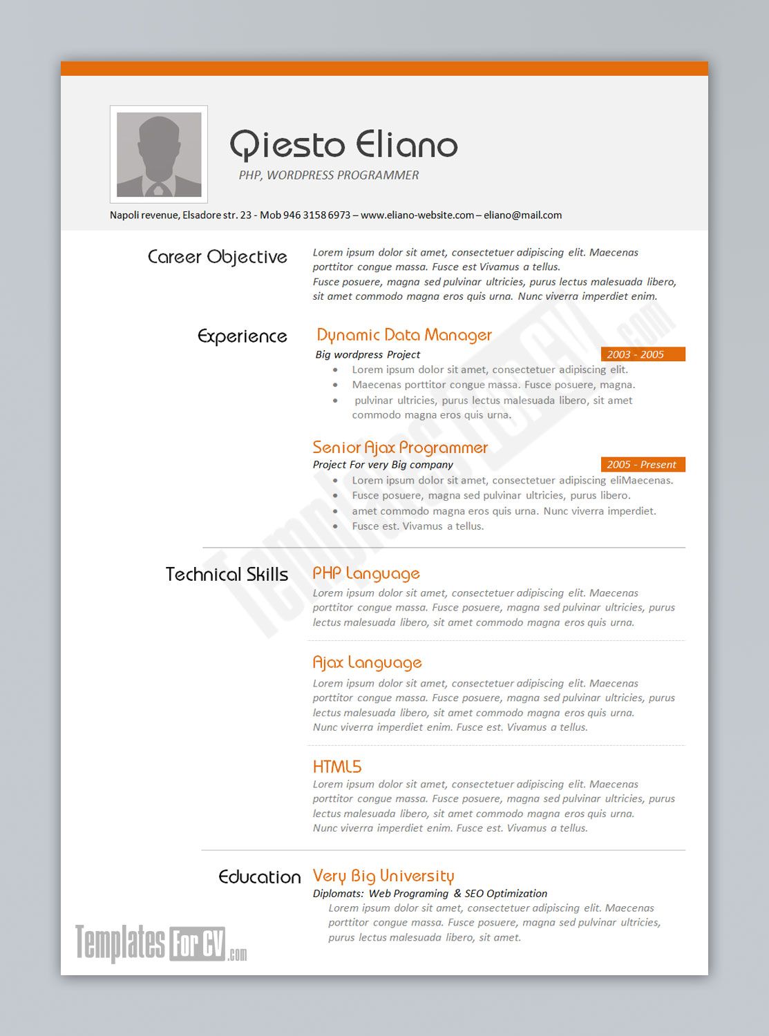 free resume templates microsoft word download on templates for cv programmer by templatesforcv on deviantart resume template word creative resume template free free resume template download